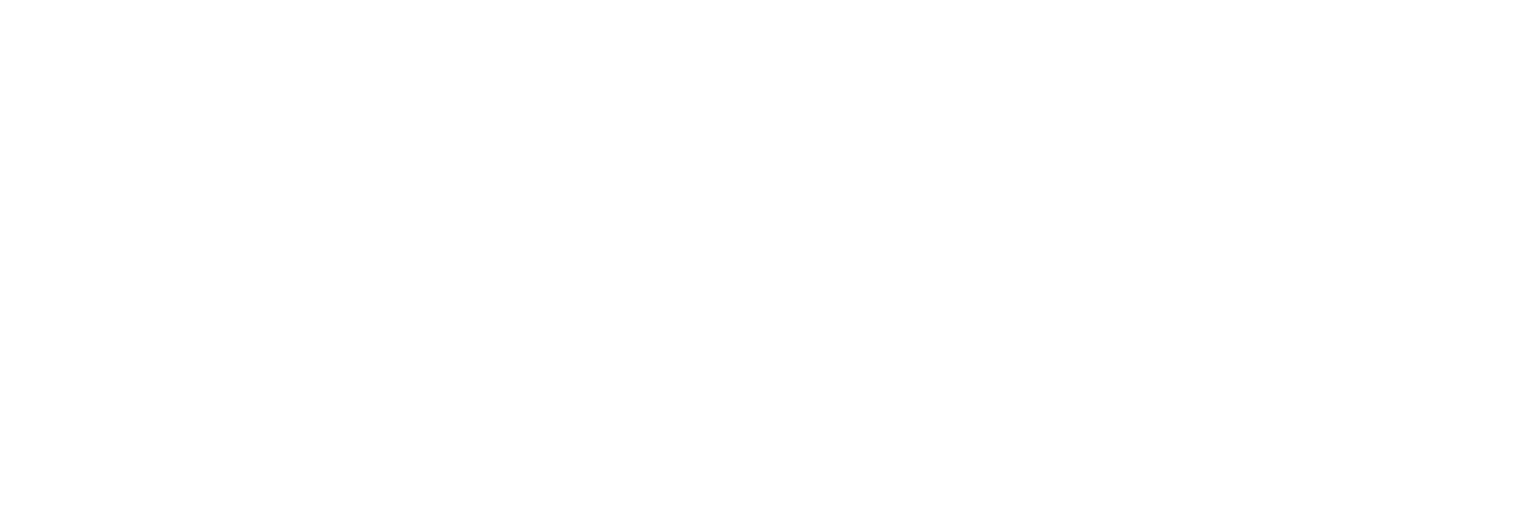 The Fireplace Center